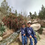 Profile Picture